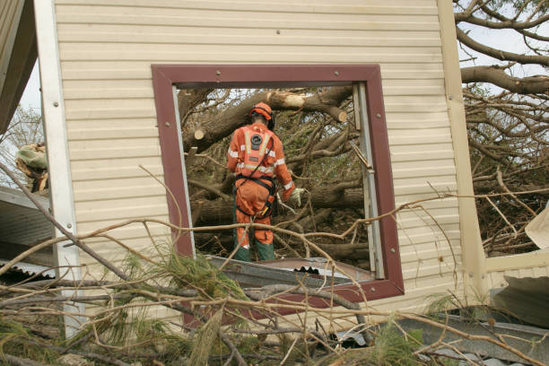 How Our Tree Care Process Works  in  Hutchins, TX